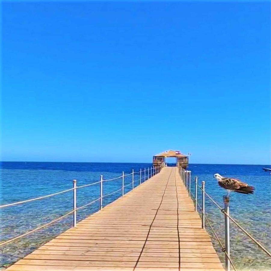 Rohanou Beach Resort El Qoseir Exterior foto